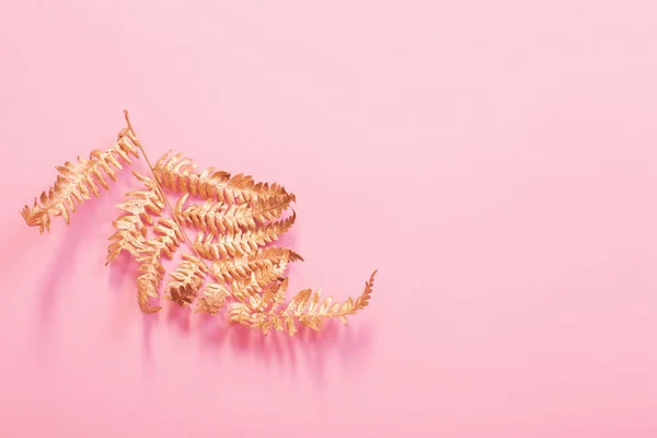 Malowane złote liście paproć na różowym tle papieru — Zdjęcie stockowe