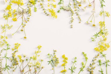 beyaz kağıt arka plan üzerinde kır çiçekleri 