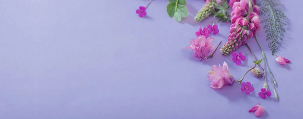 Розовые красивые цветы на голубом фоне бумаги — стоковое фото