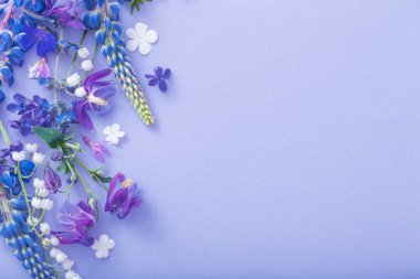 kağıt zemin üzerinde mor, mavi, pembe çiçekler