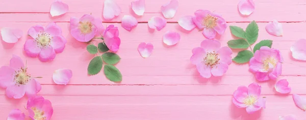 Frame van roze rozen op roze houten achtergrond — Stockfoto