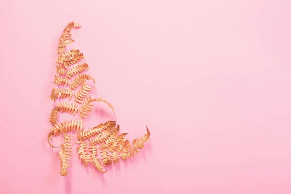 Helecho hojas doradas pintadas sobre fondo de papel rosa — Foto de Stock