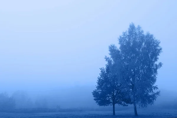 Niebieski mglisty, smutny krajobraz. Klasyczny niebieski 2020. — Zdjęcie stockowe