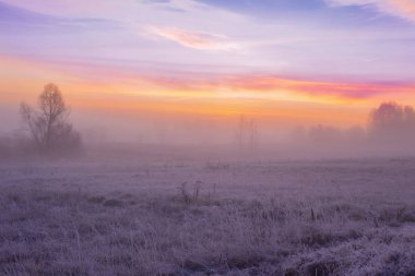 Sis ve buzla kaplı güzel kış manzarası