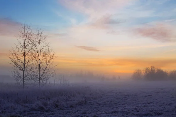Beau paysage hivernal avec brouillard et gel — Photo