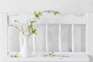 Beyaz arkaplanda vazoda kiraz çiçekleri