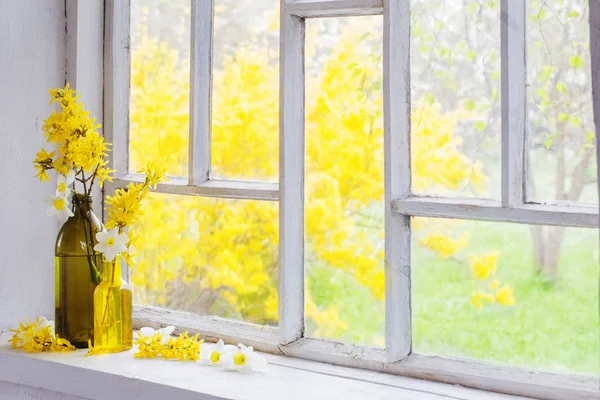 Yellow spring flowers on windowsill — Stock Photo, Image