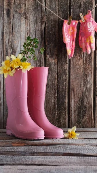 Rubber boots and spring flowers on wooden background — Stock Photo, Image