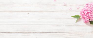 beyaz ahşap arka plan pembe ortanca