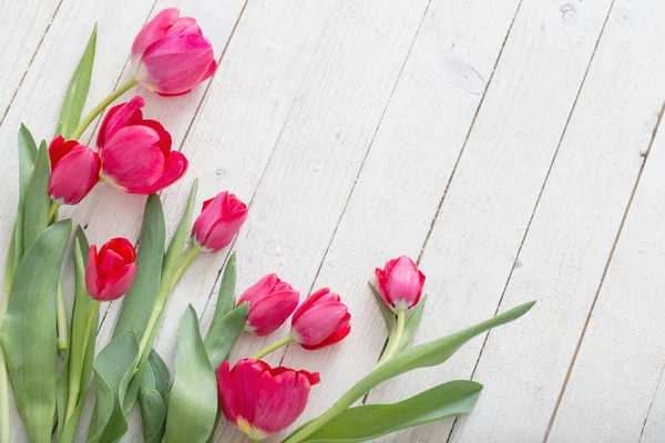 Tulipani rosa su sfondo bianco in legno — Foto Stock