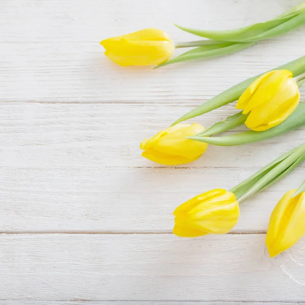 Yellow tulips on white wooden background — Stock Photo, Image