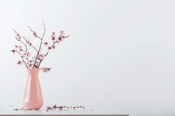 Flowering cherry branch in  vase on white background — Stock Photo, Image