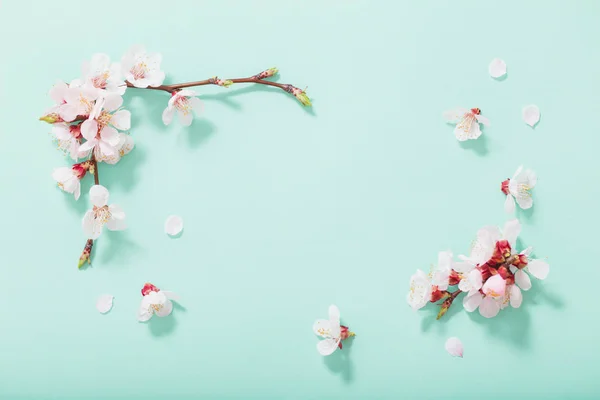 Rózsaszín cseresznyevirág zöld háttér — Stock Fotó