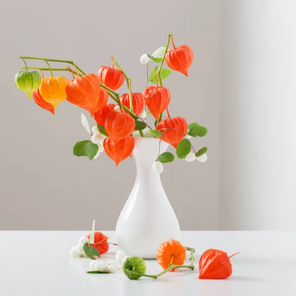 Physalis rouge sur table en bois — Photo