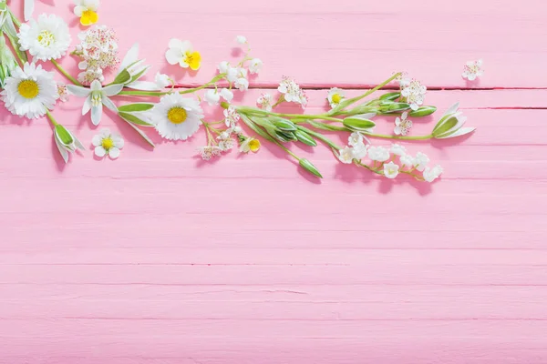 Beautiful flowers on pink wooden background — Stock Photo, Image