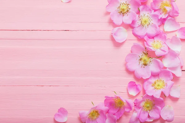 Marco de rosas rosadas sobre fondo de madera rosa — Foto de Stock