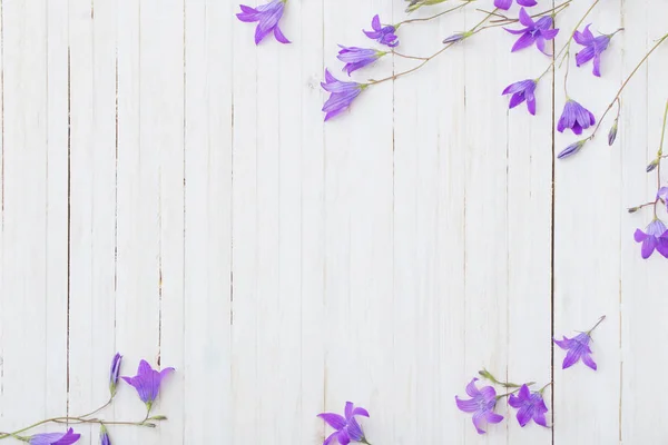 Bluebell Květiny Bílé Dřevěné Pozadí — Stock fotografie