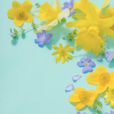 yeşil arka planda bahar çiçekleri