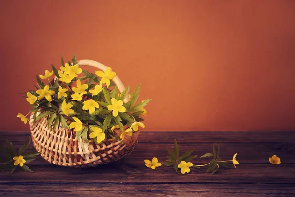 Stilleben med gula vårblommor i korg — Stockfoto