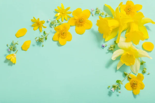 Lente bloemen op groene achtergrond — Stockfoto