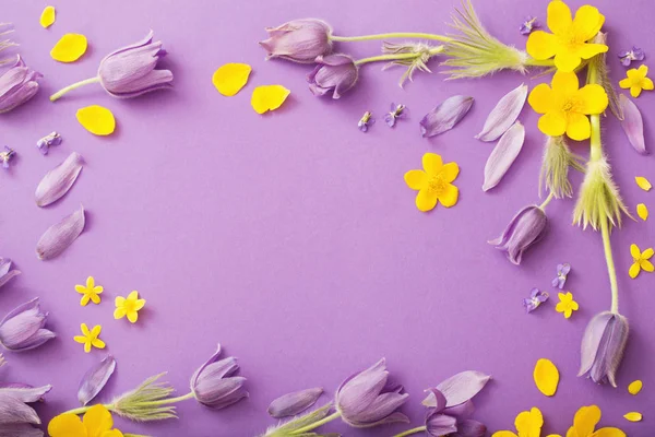 Purple and yellow spring  flowers on violet paper background — Stock Photo, Image