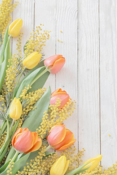 Tulipanes y mimosa sobre fondo de madera blanca —  Fotos de Stock