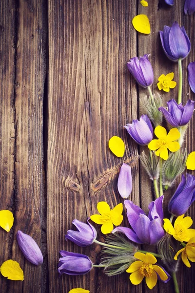 Primavera púrpura y flores amarillas sobre fondo de madera viejo —  Fotos de Stock