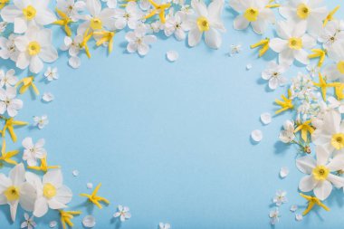 Mavi arka planda nergis ve kiraz çiçekleri