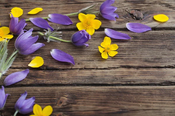 Spring purple and yellow  flowers on old wooden background — Stock Photo, Image