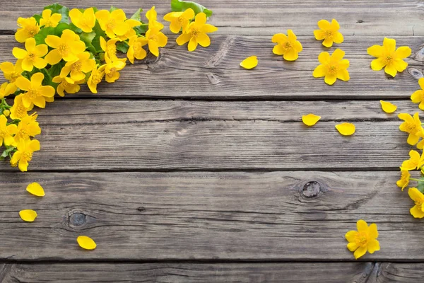 Fleurs jaunes printemps sur fond bois foncé — Photo