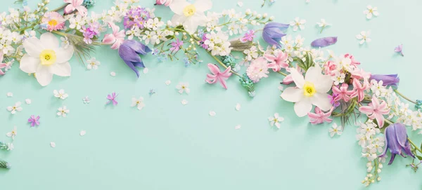 Beautiful spring flowers on green paper background — Stock Photo, Image