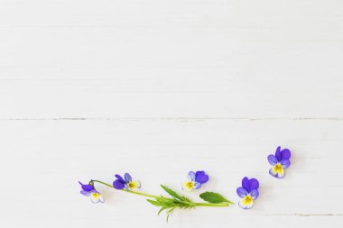ahşap arka planda Viola çiçekler