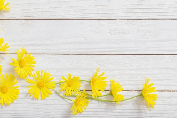 Doronicum flores no fundo de madeira pintado — Fotografia de Stock