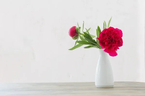 Peônia flores em vaso branco sobre fundo branco — Fotografia de Stock