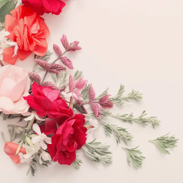 Rosa flores e folhas no fundo branco — Fotografia de Stock