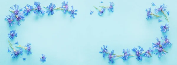 Blaue Kornblumen auf blauem Papier Hintergrund — Stockfoto