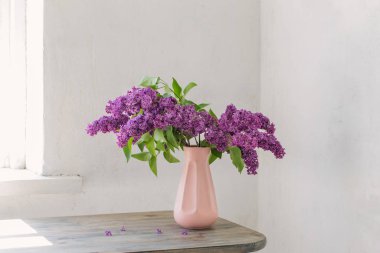 arka plan eski beyaz duvarda vazo içinde leylak