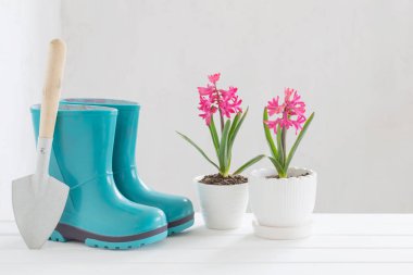 lastik çizmeler ve bahar çiçekleri beyaz arka plan üzerinde