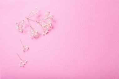 Pembe kağıtta çikila çiçekleri