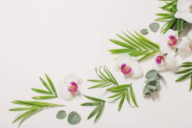 Beyaz arkaplanda orkide çiçekleri ve yeşil yapraklar