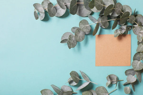 Folhas de eucalipto e cartão de artesanato sobre fundo de papel azul — Fotografia de Stock