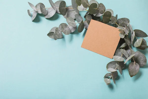 Eukalyptus blad och hantverk kort på blått papper bakgrund — Stockfoto