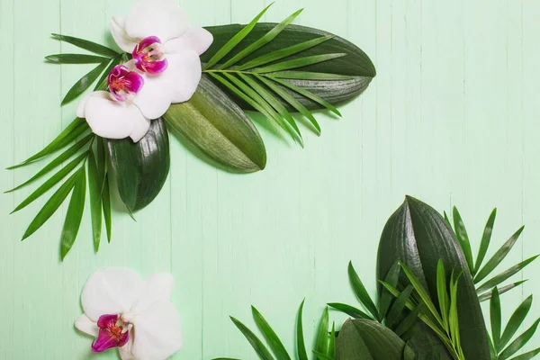 Orchid flowers and exotic leaves on green wooden background — 스톡 사진
