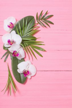 Orkide çiçekleri ve pembe ahşap arka planda egzotik yapraklar 