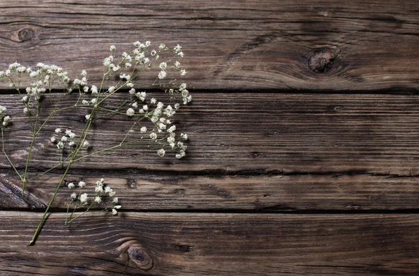 Γυψοφίλης λουλούδια στο παλιό ξύλινο υπόβαθρο — Φωτογραφία Αρχείου