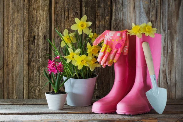 Botas de goma y flores de primavera sobre fondo de madera — Foto de Stock