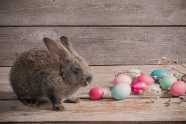 Eski ahşap arka planda Paskalya yumurtası ve tavşan