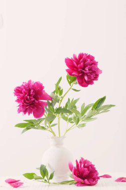 beyaz arka planda beyaz vazo içinde şakayık çiçekler 