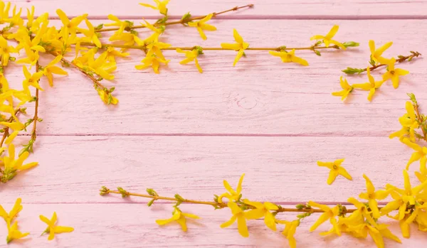 Forsythie-Blüten auf rosa Holzgrund — Stockfoto