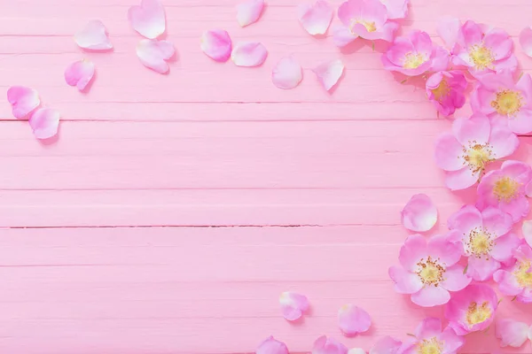 Marco de rosas rosadas sobre fondo de madera rosa — Foto de Stock